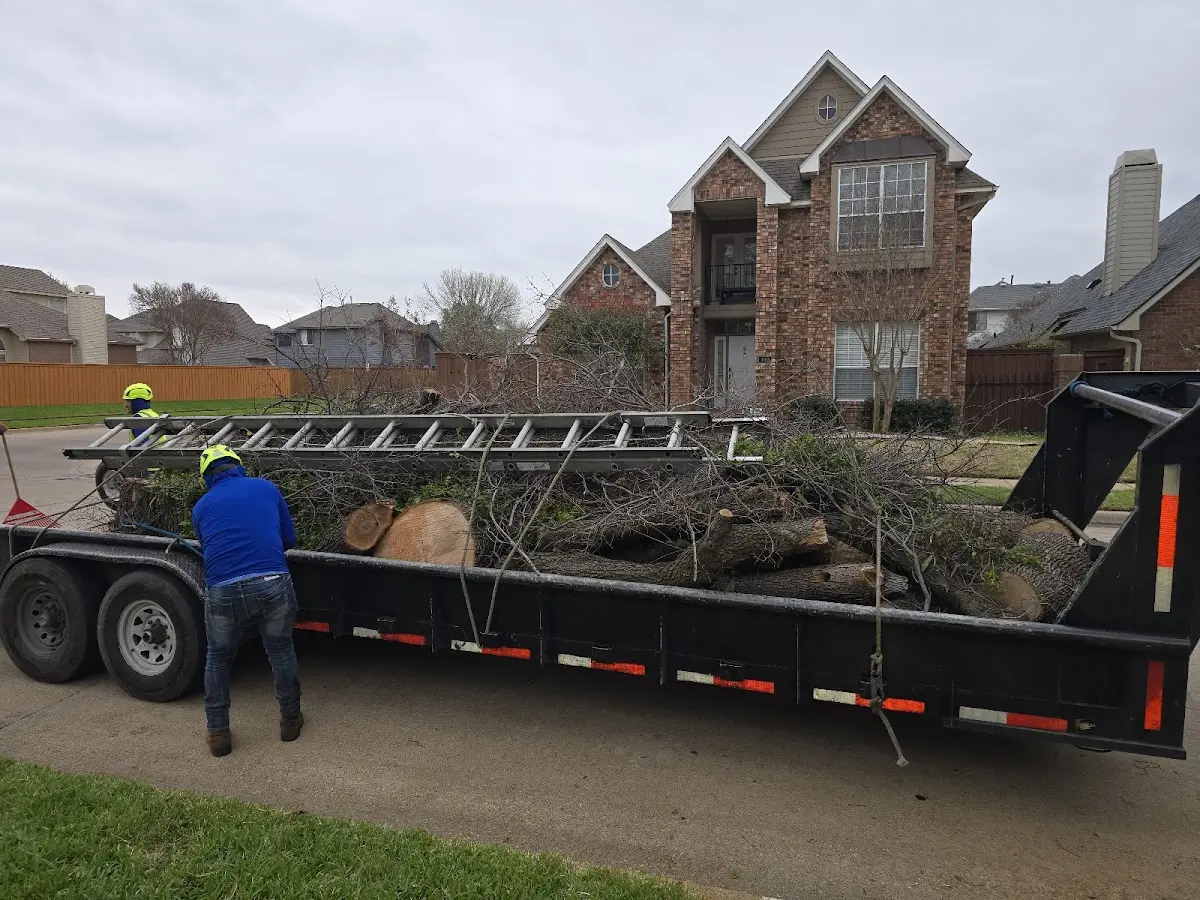 Expert Crown Reduction with proper safety equipment in Lansing